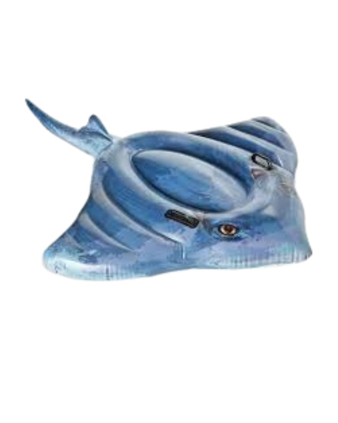 Floatie Stingray