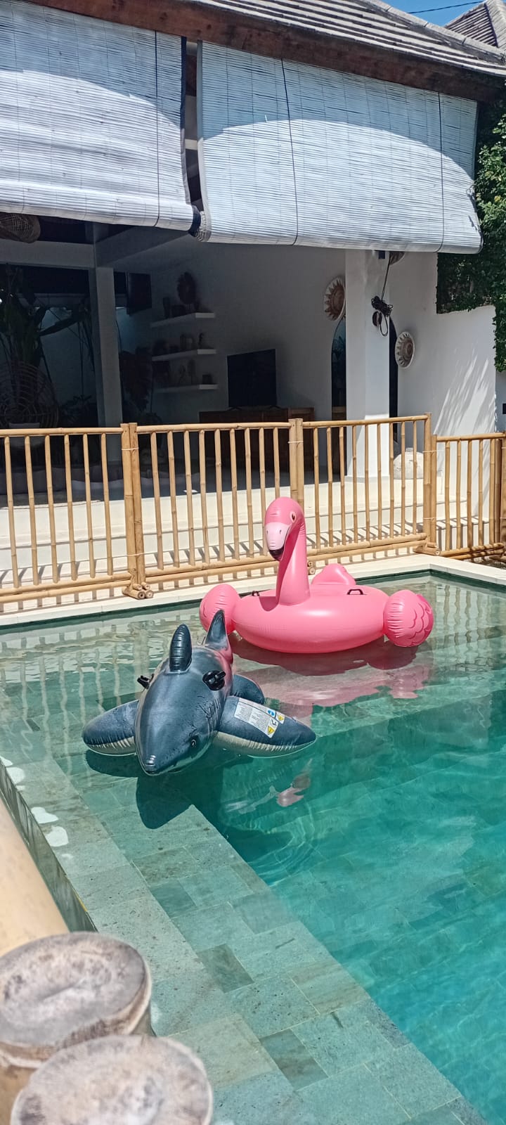 Pool Fence the highest in Bali