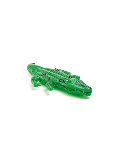 Alligator Floatie